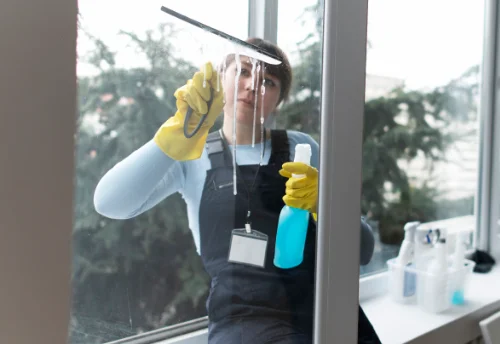 Nettoyage de vitres intérieures et extérieures à la Plaine